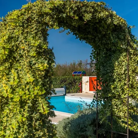 Villa Activity Marula With Outdoor Pool In Buje Gambozzi